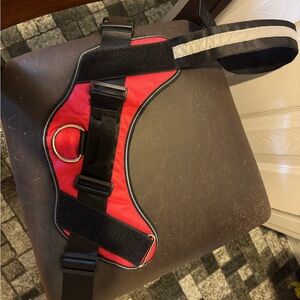 Red Dog Harness with Black Straps